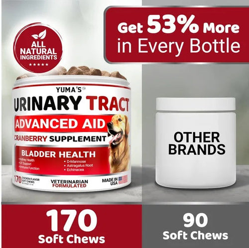 Dog UTI Treatment 170 Treats Cranberry Supplement For Dogs Bladder